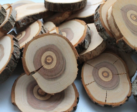 Wood Rounds Wood Slices Wood Slab Natural Craft Supplies Do It Yourself  Rustic Home Decor Different 10pcs 