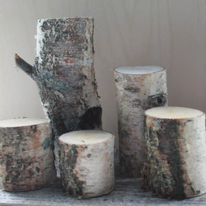 Wood stump Birch branches Rustic decor Do it yourself Birch logs for craft Natural craft supplies RANDOM SET OF 5 pcs