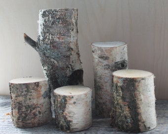 Birch Wood Stump Set (5 pcs): Rustic DIY Craft Supplies