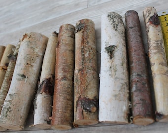 Birch branch Bundle Natural wood twigs Do it yourself Rustic Home Decor Set 5pcs