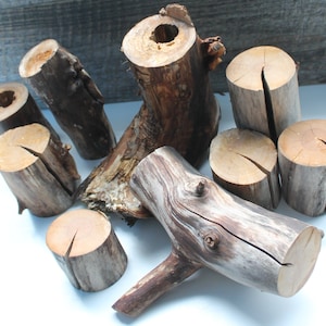 Wood stump Willow branches Natural craft supplies Wood log Diy kits for adults Do it yourself Rustic home decor