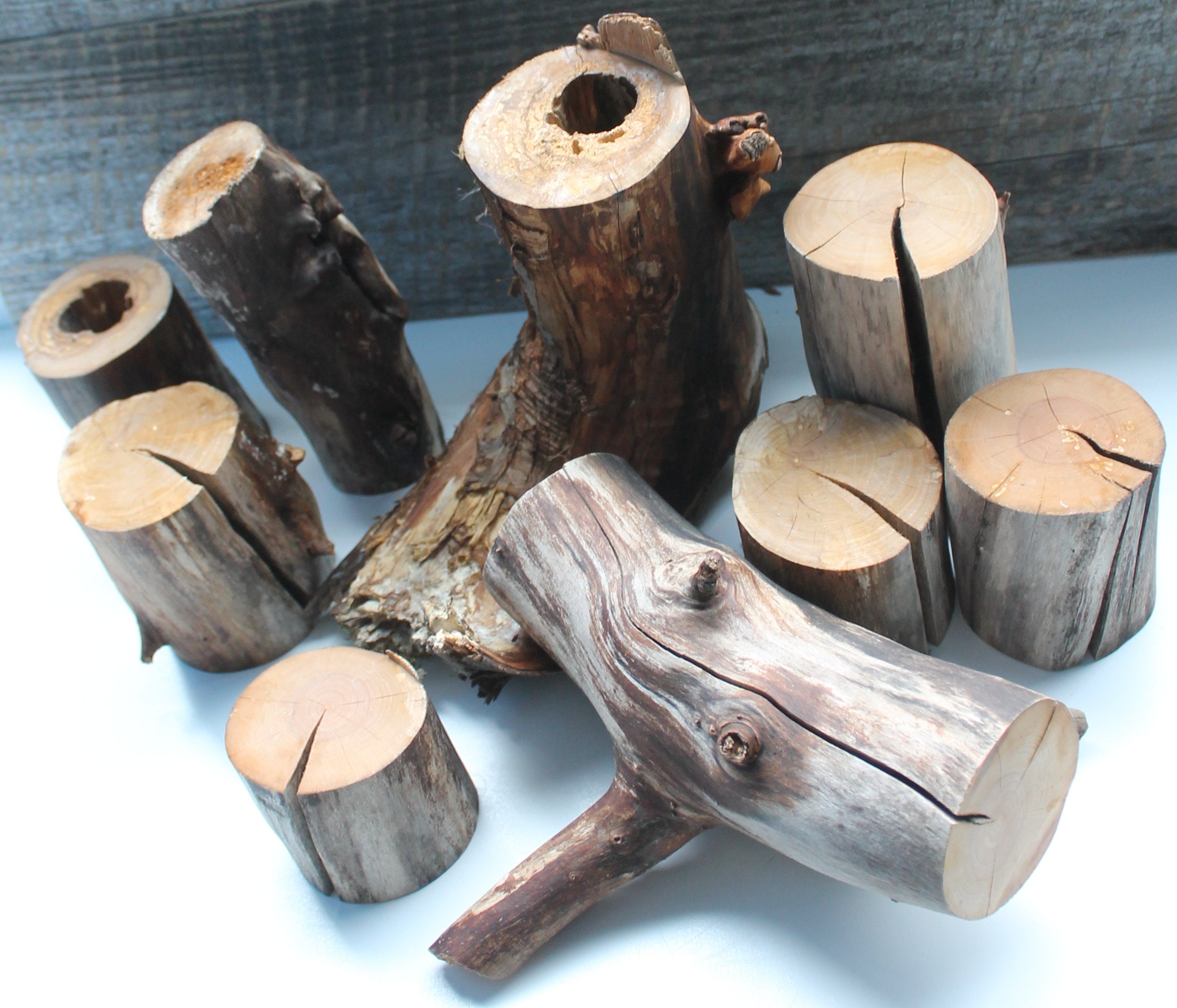 Wood Stump Willow Branches Natural Craft Supplies Wood Log Diy Kits for