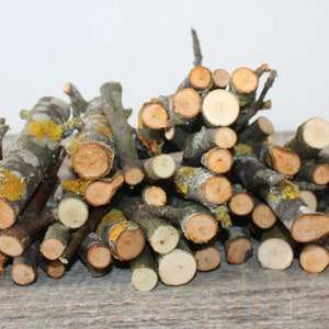 20 pcs Natural wood stick Decorative twigs Rustic tree branches