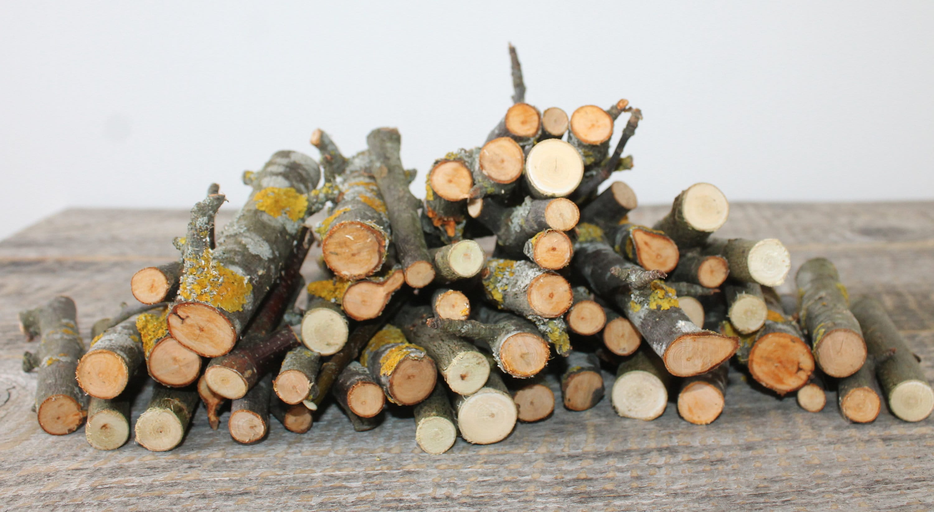 Ramas de palo de madera natural conjunto decorativo palos de árbol