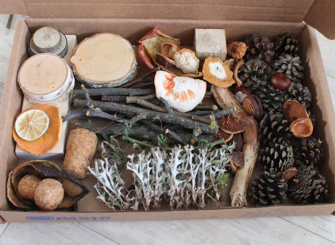 Natural Craft Supplies Fairy Garden Kit Woodland Craft Kit for Adults