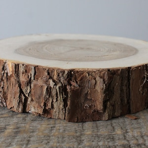 Puede incluir: Una rodaja de madera redonda con un borde de corteza natural. La parte superior de la rodaja es lisa y de color marrón claro. La corteza es de un marrón más oscuro con una textura rugosa.