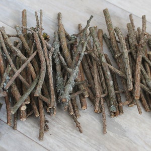 Natural wood stick Decorative twigs Rustic tree branches 100ps