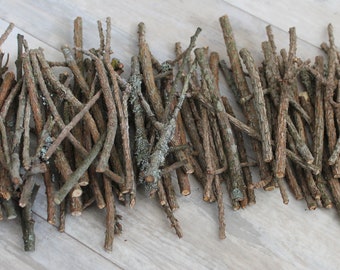 樹皮なしの12インチまたは32cmのヘーゼルの枝30本、30本の束、本物の