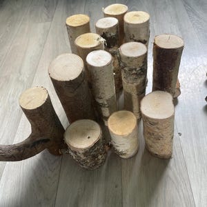 Birch branches Wood craft sticks Decorative natural wood twigs supplies for crafting READY TO SHIP 6 pcs