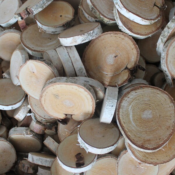Birch Tree Slice - Etsy