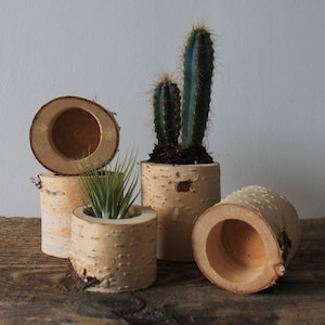 Luftpflanzenhalter Holzstumpf Blumentopf im Freien Mini Sukkulenten Töpfe Rustikale Tischdekoration 1 / 3ST Holzscheit Handgefertigte Holzdekoration
