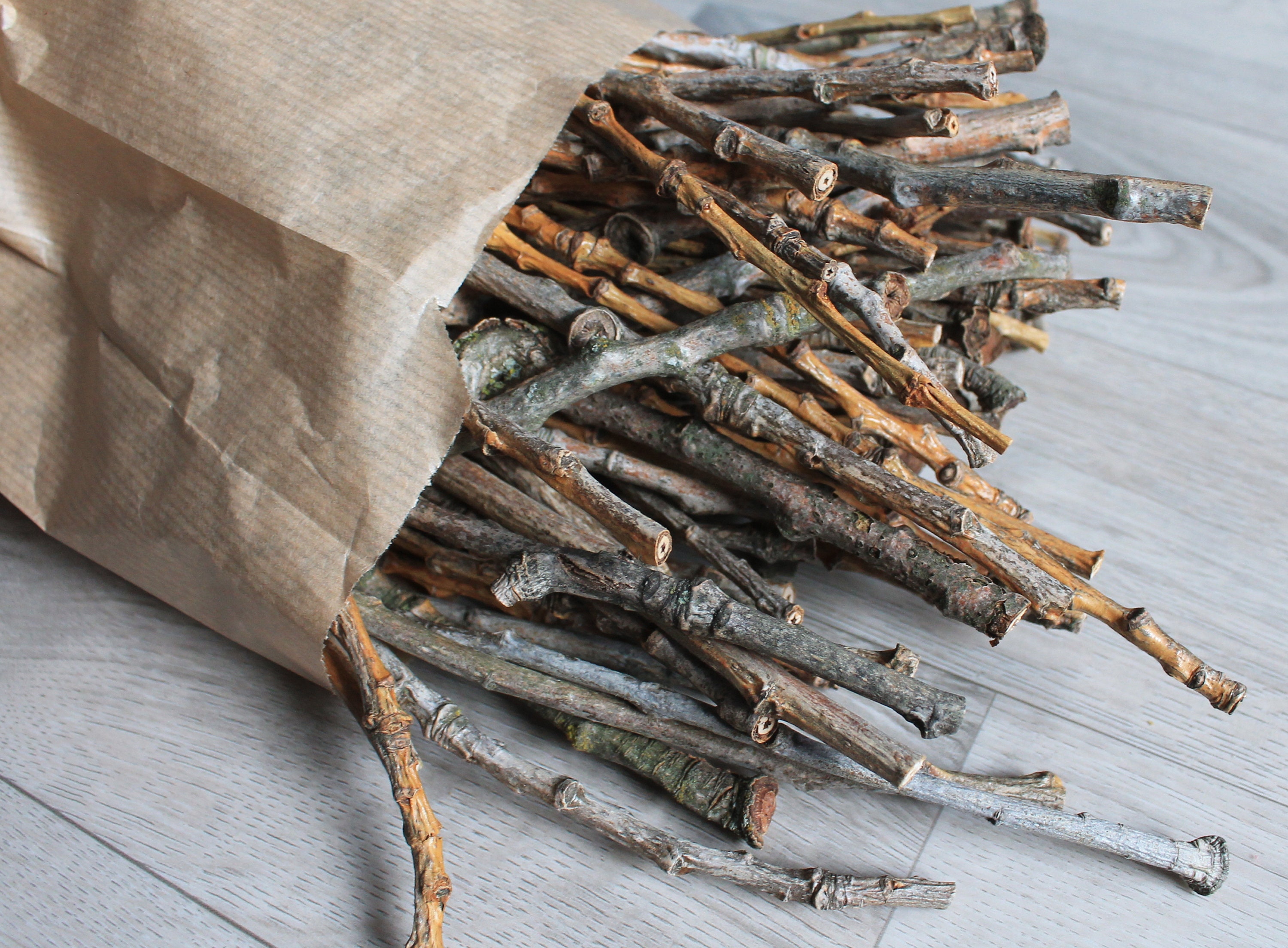 Small Natural Birch Branch Tips 8-12. Pack of 40 tips for Floral and Craft  Application