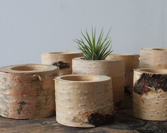 Luftpflanzenhalter Mini Blumentopf Rustikale Tischdekoration 1/3 Stück Holzscheit Handgemachtes Einweihungsgeschenk