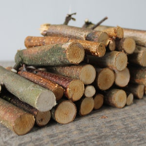 20 pcs Birch branches Wood twigs Rustic home decor Birch sticks Natural craft supplies Do it yourself