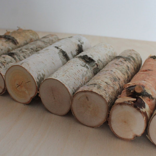 Birch poles Wood stump Birch branches Rustic home decor Do it yourself Birch logs for craft Natural craft supplies