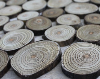Wood rounds Wood slices Sumac log slice Wood pieces Wood slab Wood working craft supplies RANDOM set of 20 pcs