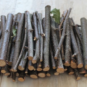Wood branches Tree stick Twigs for crafting Birch branches for wall art decor Do it yoyrself Set 50 pcs