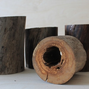 Hohler Stamm Weidenäste Natürliches Bastelmaterial Holzstumpf DIY-Kits für Erwachsene Zufallsset 3 Stk Do it yourself Rustikales Wohndekor