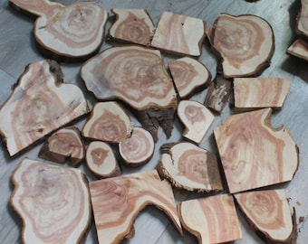 Wacholder Holz Scheiben Wacholder: Rustikales Bastelmaterial, DIY Kit (10 Stück)