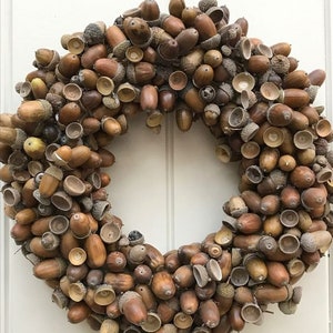 Oak acorns Acorn caps Natural craft supplies Acorns for crafting Florist supplies Do it yourself wreath