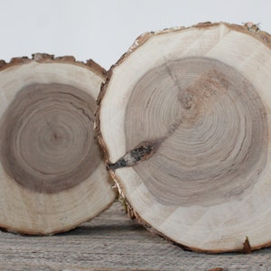 May include: Two round wooden slices with visible growth rings. The wood has a light tan color with a darker brown center. The bark edges are rough and textured. These rustic wood slices are suitable for various craft projects.