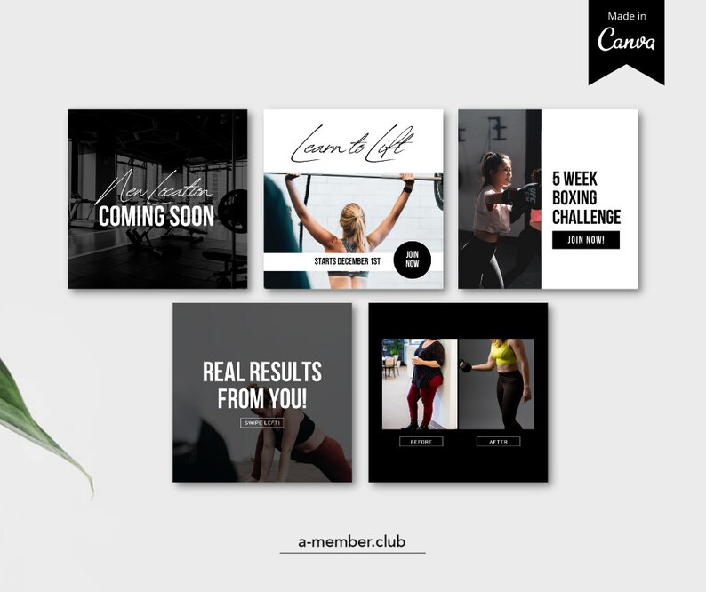 Fitness Social Media Templates | Fitness Studio Posts Gym Templates | Personal Trainer Posts | Wellness Post | Fitness Instagram Canva Posts image 4