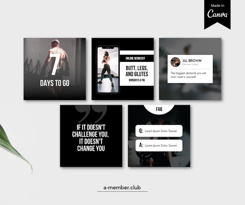 May include: A set of six black and white Instagram story templates for a fitness or workout program. The templates feature motivational quotes, a countdown, a workout schedule, and a personal trainer's bio. The text on the templates includes "7 Days to Go", "If it doesn't challenge you, it doesn't change you", "Online Workout: Butt, Legs, and Glutes, Mondays 5 PM", "Jill Brown, Personal Trainer, The biggest obstacle you will ever meet is yourself", and "FAQ".