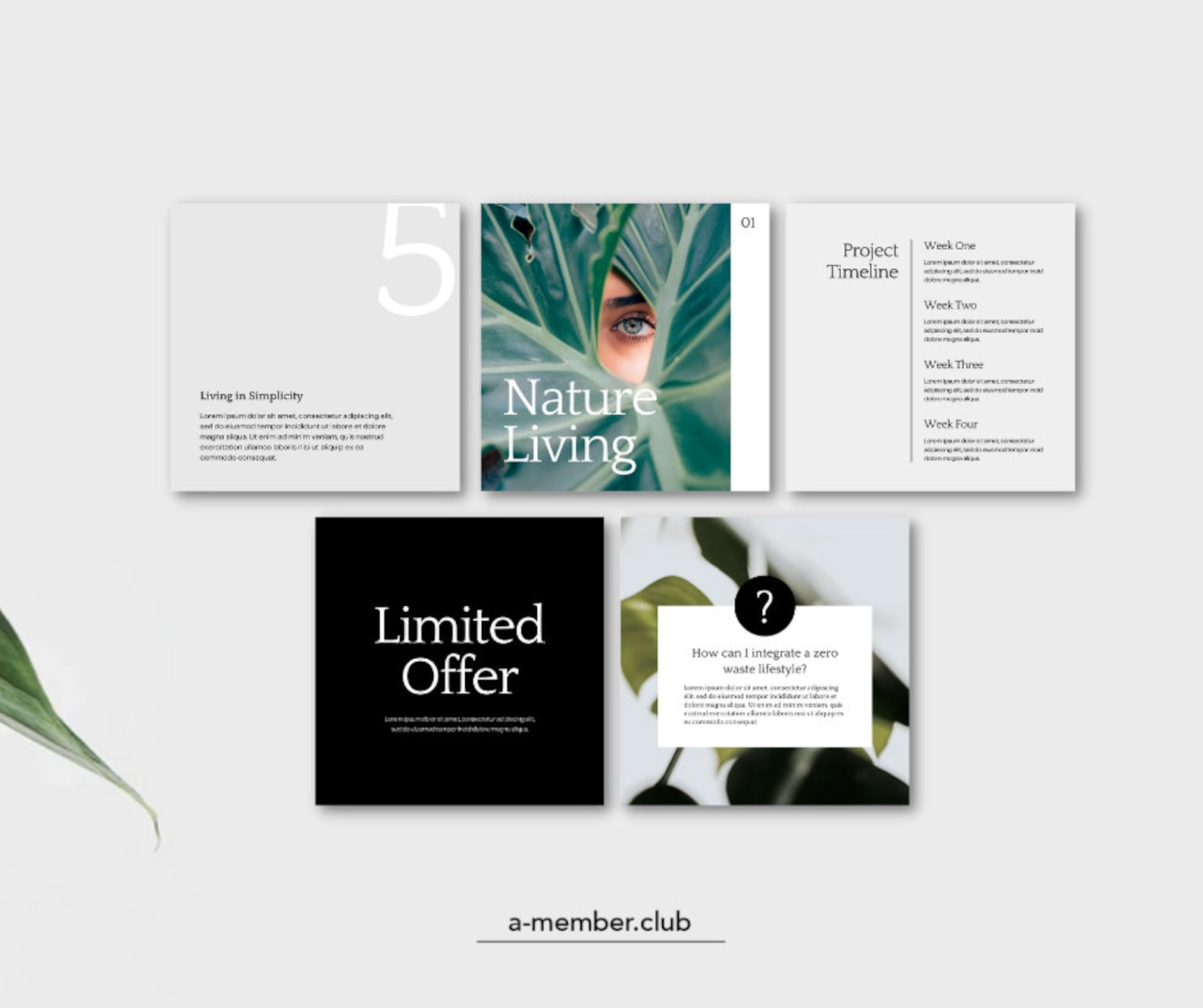 Minimalist Instagram Template Canva for Coach, Social Media Post ...