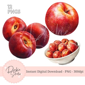 12 Aquarell Nektarine Clipart Bundle - 12 Saftige Nektarine PNGs für digitale und druckbare Designs, transparenter Hintergrund, kommerzielle Nutzung