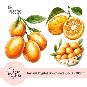 12 Watercolor Kumquat Clipart Bundle - 12 Unique Kumquat PNGs for Digital & Printable Projects, Transparent background, commercial use