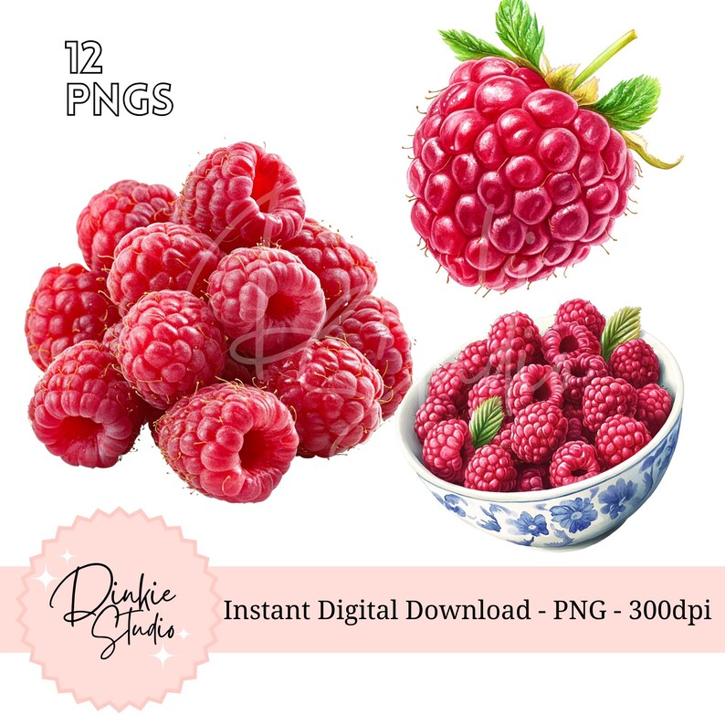 12 Watercolor Raspberry Clipart Bundle - 12 Juicy Raspberry Pngs for ...