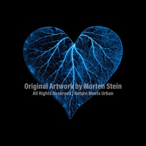 Organic Crop Top Blue Heart image 6