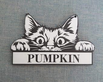 Personalized Cat Name Plate: Acrylic Crate/Cage Sign