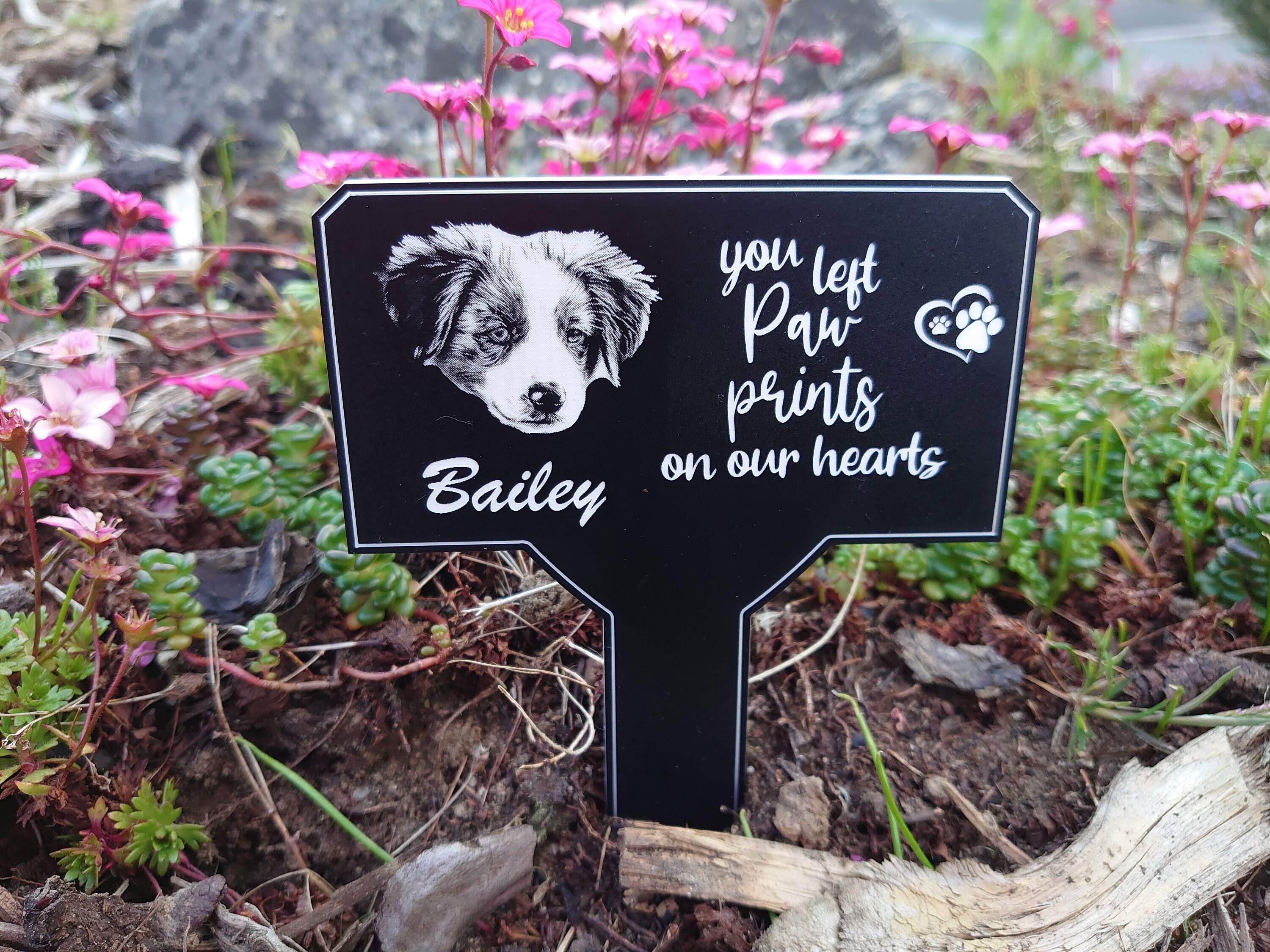 Pet Memorial/garden Plaque/engraved Photo Plaque/grave Marker Etsy