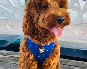 Luxury Blue & Stars Astronomy Dog Harness Set
