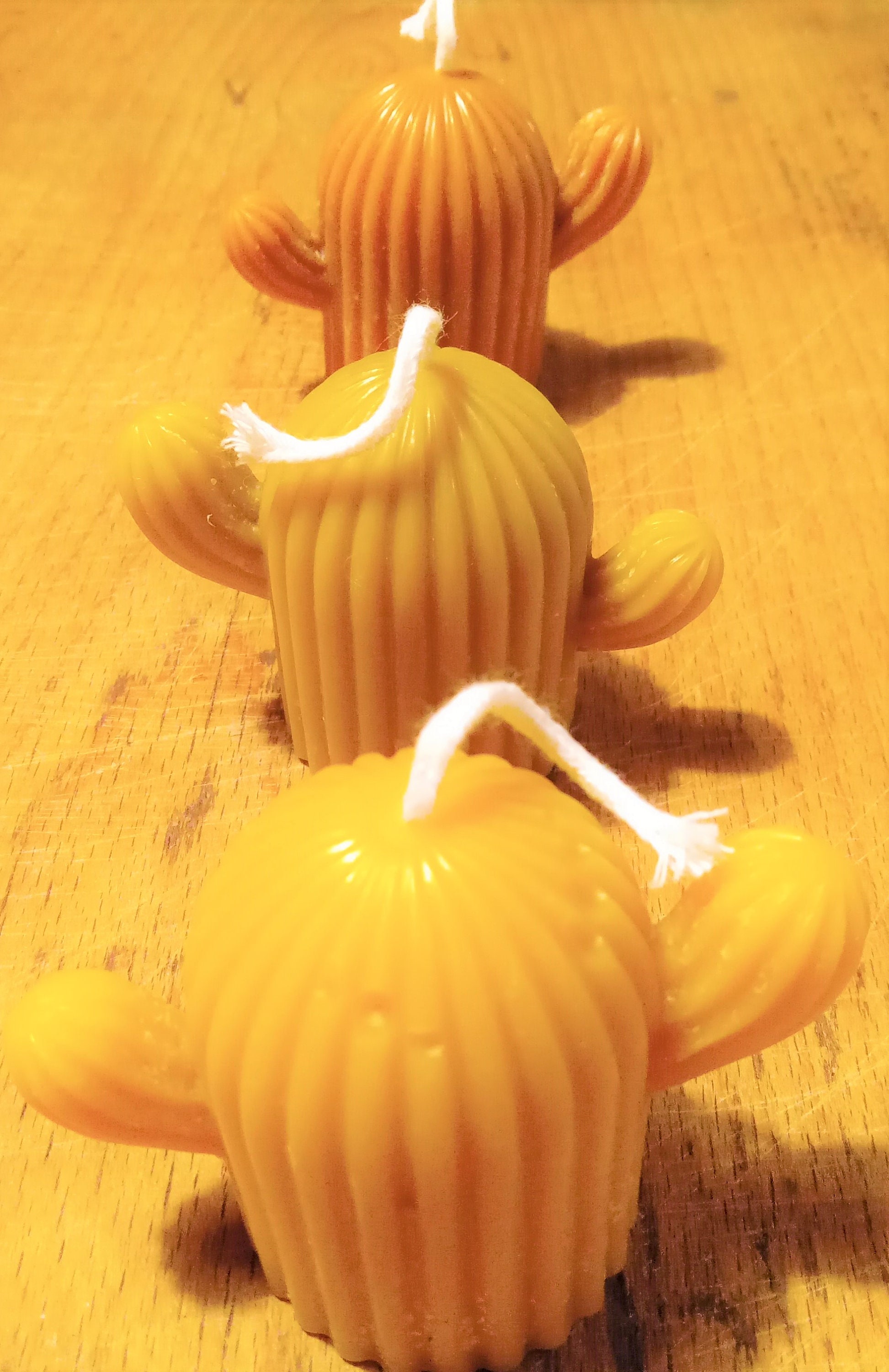 Bougies Décoratives Moulées Cactus