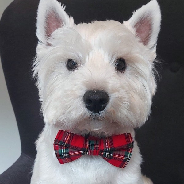 Classic red tartan plaid handmade pet over the collar bandana & bow tie with velcro fastening westie Scottie terrier dog RobbieGetscrafty