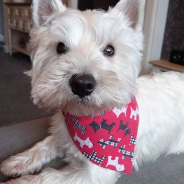 Fun westies and scotties print on red handmade pet over the collar bandana & bow tie with velcro fastening westie scottie RobbieGetsCrafty