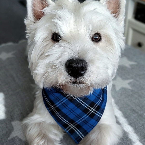 Westie Fabric Etsy