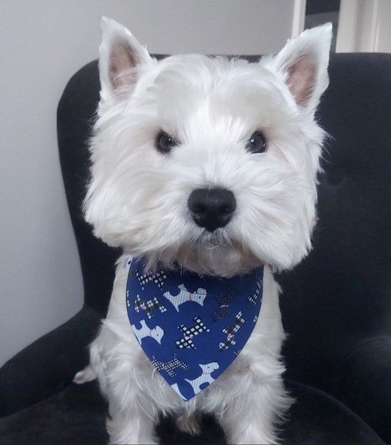 Westie Pet Bandana Westie Pet Bandana