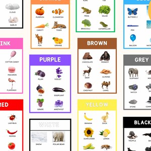 May include: Educational poster featuring colorful illustrations of various objects categorized by color. Includes images of a pumpkin, butterfly, apple, and banana, among others. The poster also has the text "FR / ENG".