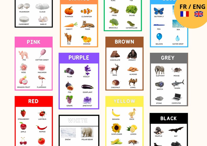 May include: Educational poster featuring colorful illustrations of various objects categorized by color. Includes images of a pumpkin, butterfly, apple, and banana, among others. The poster also has the text "FR / ENG".