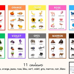 May include: A set of eleven colorful educational posters in French, each showcasing a different color with associated images and words. The colors include red, orange, yellow, pink, blue, green, violet, gray, brown, black, and white.