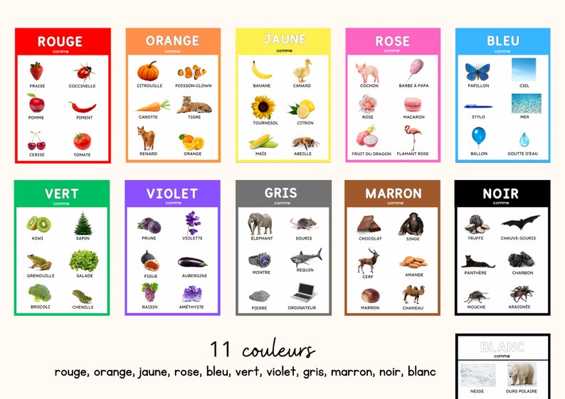 May include: A set of eleven colorful educational posters in French, each showcasing a different color with associated images and words. The colors include red, orange, yellow, pink, blue, green, violet, gray, brown, black, and white.