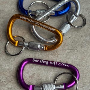 Könnte beinhalten: Eine Sammlung von Karabiner-Schlüsselanhängern in Blau, Silber, Gold und Lila. Jeder Schlüsselanhänger hat einen Verschlussmechanismus und einen Schlüsselring. Auf den Anhängern steht "Lisa", "Gipfelstürmer", "Lieber Nudeln statt Sorgen machen" und "Der Berg ruft".