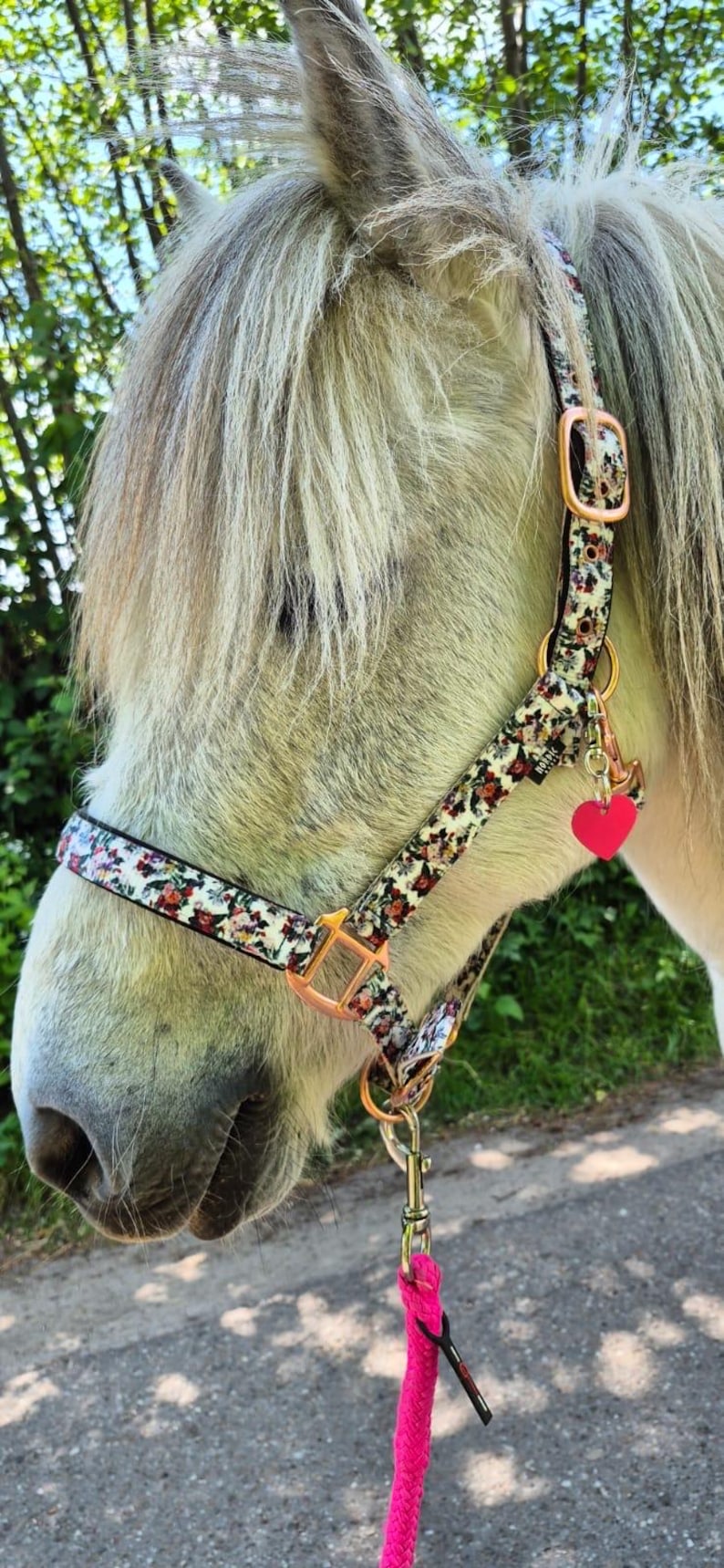 Heart-shaped tag with personalization, animal tag, horse tag, key ring image 7