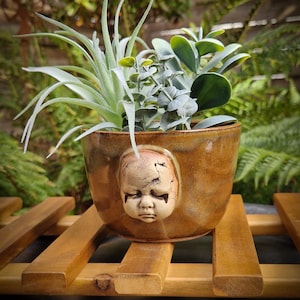 Peut inclure: Un pot de plante en céramique marron avec un visage de bébé sculpté, rempli de diverses plantes vertes et grises. Le pot repose sur une surface à lattes en bois, avec un fond vert flou.