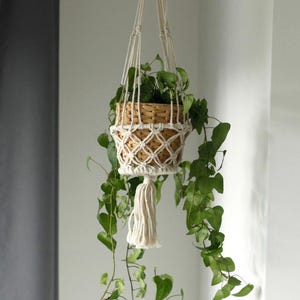 May include: A hanging plant basket with a woven basket and macramé detailing. The basket is filled with green leafy plants. The macramé has a diamond pattern and a tassel. The basket is suspended by white cords.
