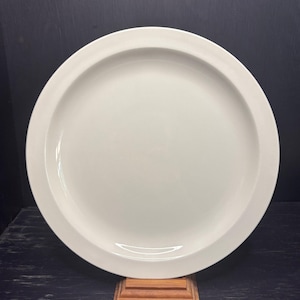 Stonehenge Midwinter White Dinner Plates