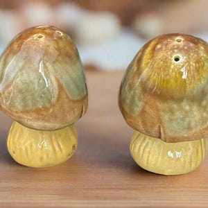 Made in Japan Mushroom Salt and Pepper Shakers